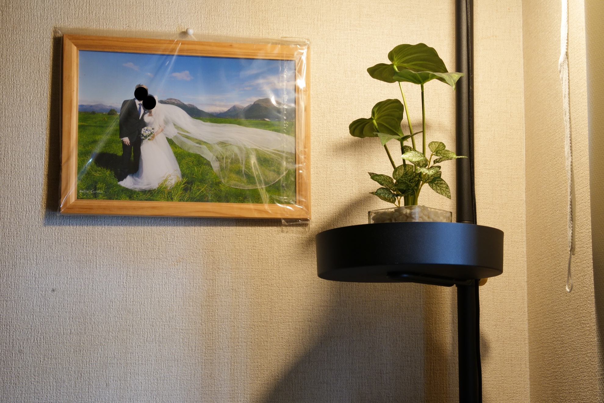 Trayにはフェイクグリーンを置きました